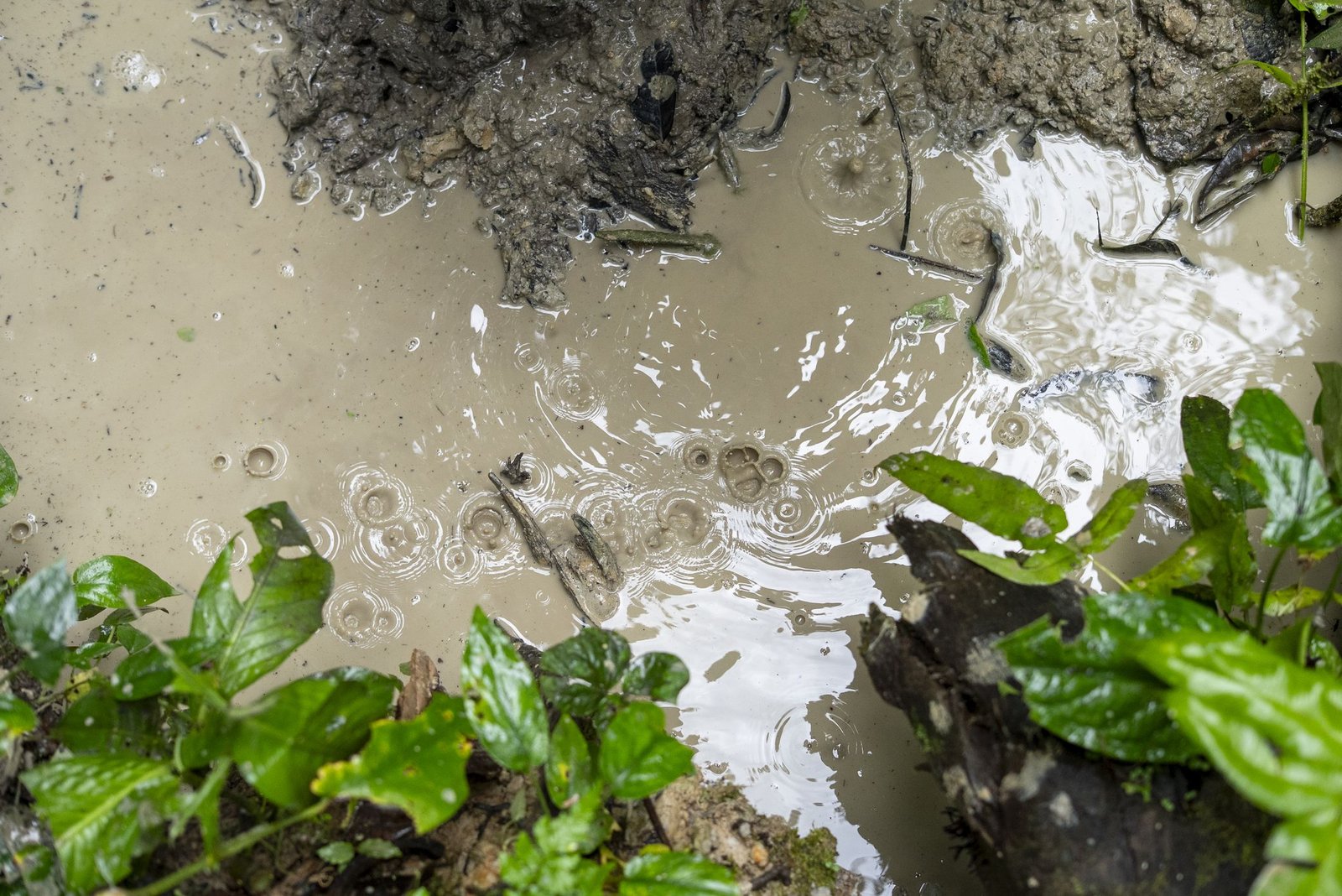 Arcilla y agua del río